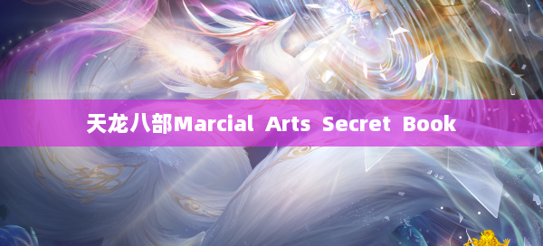 天龙八部Marcial Arts Secret Book 第1张